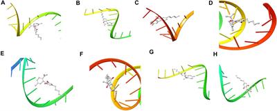 Targeting of Protein’s Messenger RNA for Viral Replication, Assembly and Release in SARS-CoV-2 Using Whole Genomic Data From South Africa: Therapeutic Potentials of Cannabis Sativa L